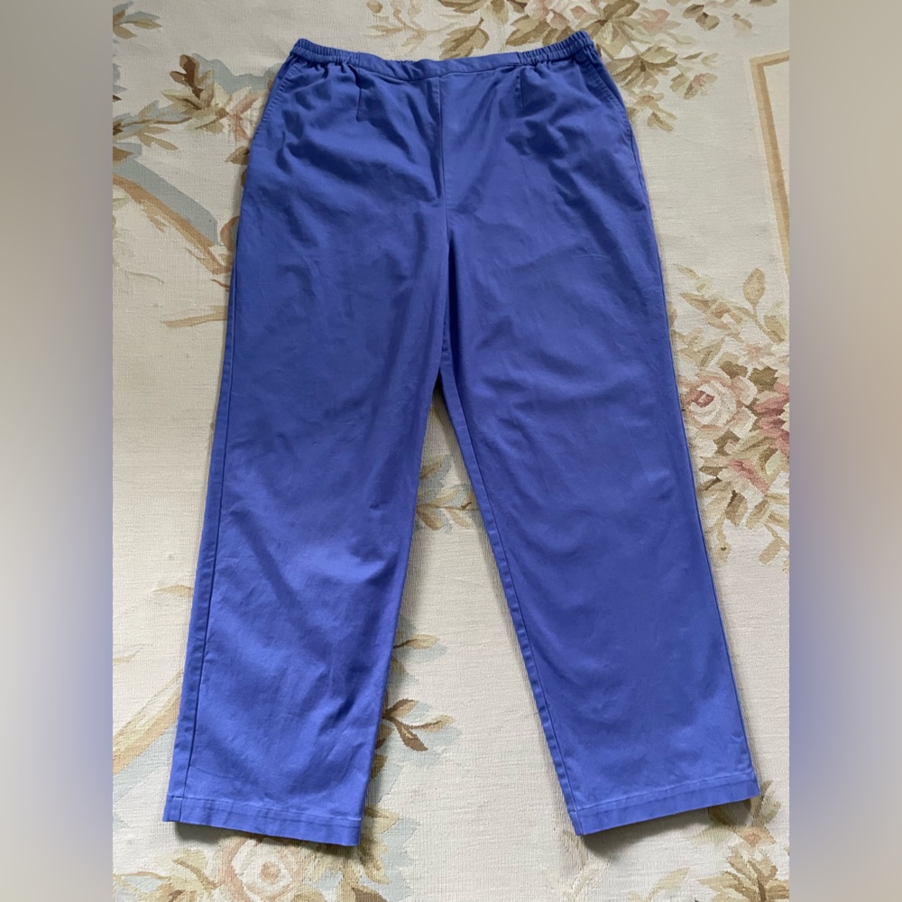 The Tog Shop size 18 petite purple pants